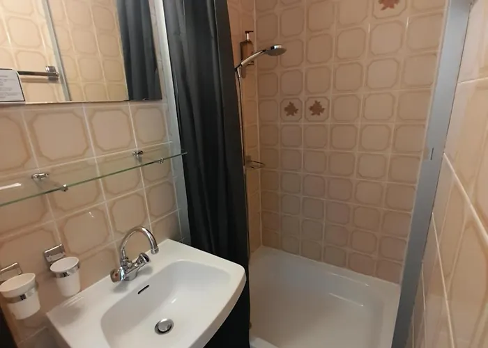 & Restaurant Le Patio 2* Виши